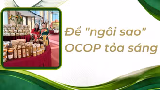  Để "ngôi sao" OCOP tỏa sáng