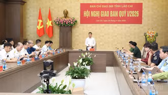 Ban Chỉ đạo 389 tỉnh Lào Cai giao ban quý I/2026