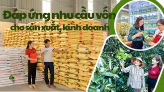 Đáp ứng nhu cầu vốn cho sản xuất, kinh doanh 