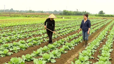 Phụ nữ Quy Mông khẳng định vị thế, phát triển kinh tế bền vững từ nông nghiệp