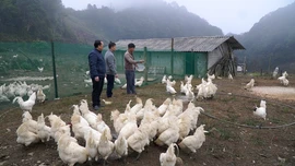 Viết tiếp ước mơ