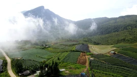 Khát vọng ở vùng đất mù sương