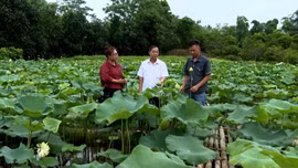 Khoa học bén rễ từ đồng đất quê hương