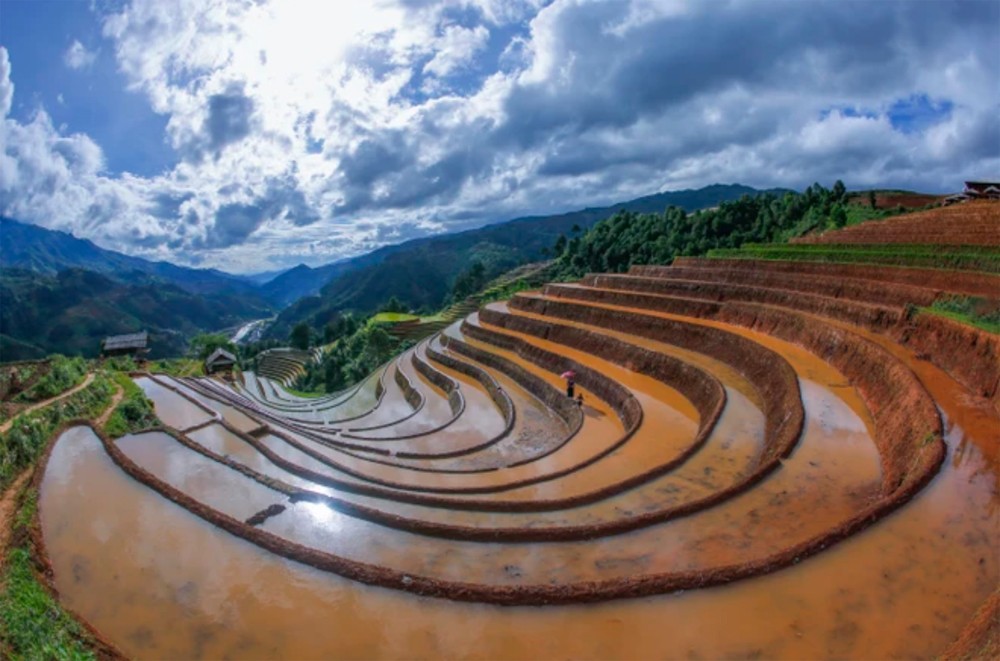 Spectacular water pouring season in Mu Cang Chai ảnh 3