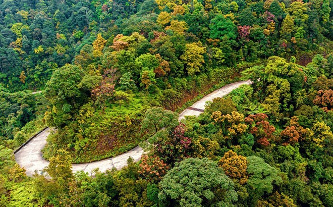 Vườn quốc gia Bạch Mã: Vẻ đẹp chốn “bồng lai tiên cảnh” ảnh 1 Vườn quốc gia Bạch Mã: Vẻ đẹp chốn “bồng lai tiên cảnh” ảnh 1