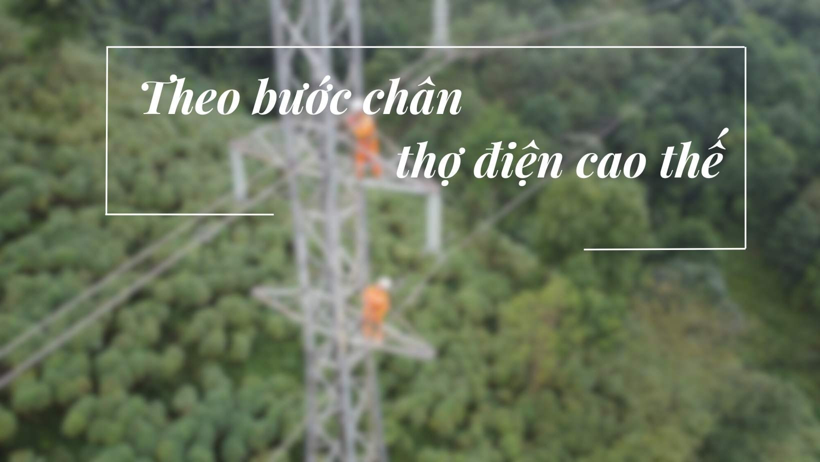 Theo bước chân thợ điện cao thế