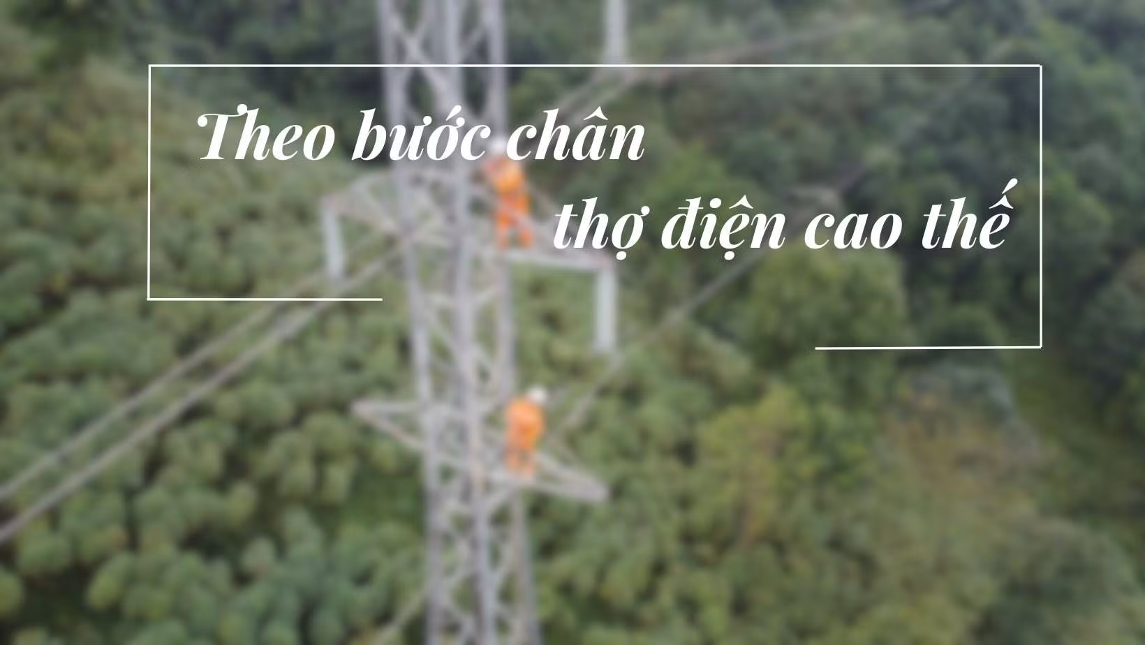 Theo bước chân thợ điện cao thế