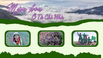 Mùa hoa ở Tà Chì Nhù