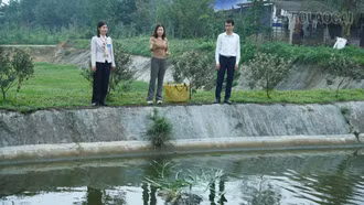 Đẩy mạnh hỗ trợ hội viên phụ nữ phát triển kinh tế