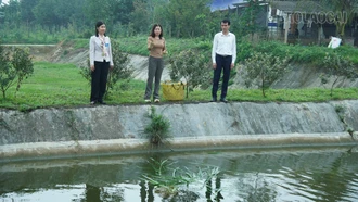 Đẩy mạnh hỗ trợ hội viên phụ nữ phát triển kinh tế