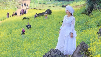 Du lịch Văn Chấn rực rỡ trong sắc xuân