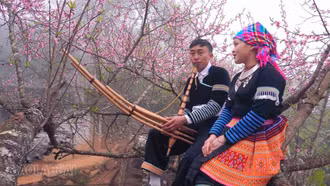 [Ảnh] Xuân về trên rẻo cao Tà Xi Láng