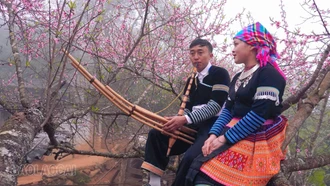 [Ảnh] Xuân về trên rẻo cao Tà Xi Láng