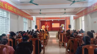 230 phụ nữ được tư vấn, giới thiệu việc làm, trợ giúp pháp lý