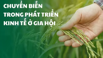 Chuyển biến trong phát triển kinh tế ở Gia Hội