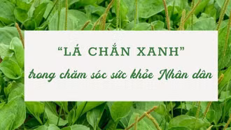 "Lá chắn xanh" trong chăm sóc sức khỏe Nhân dân