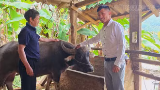 Bí thư chi bộ trẻ trên đỉnh Tà Xùa