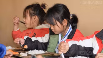 Tiếp sức để học sinh có bữa ăn bán trú an toàn