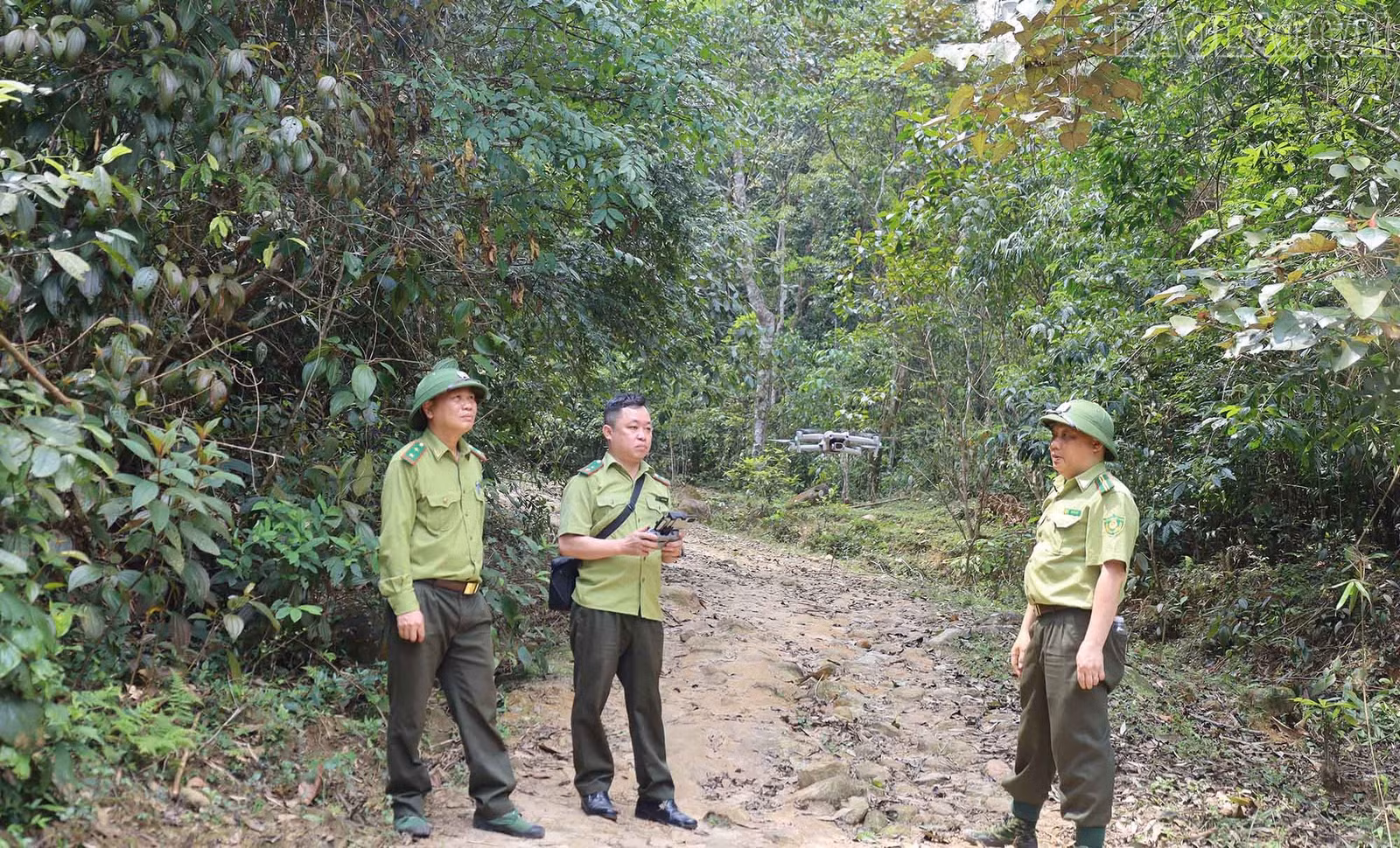 baolaocai-tr_4.jpg