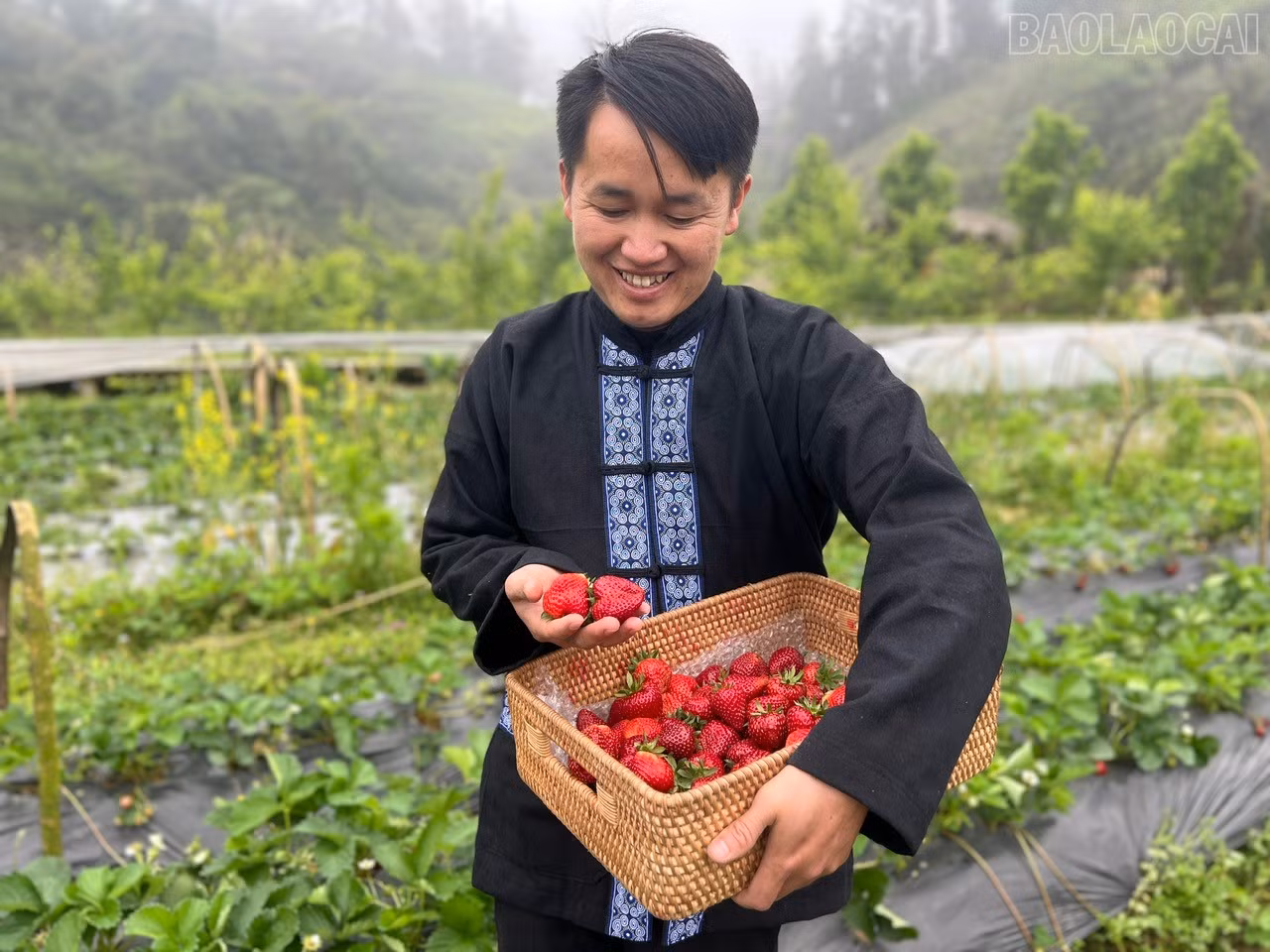 Niềm vui của nông dân trong mùa thu hoạch nông sản.