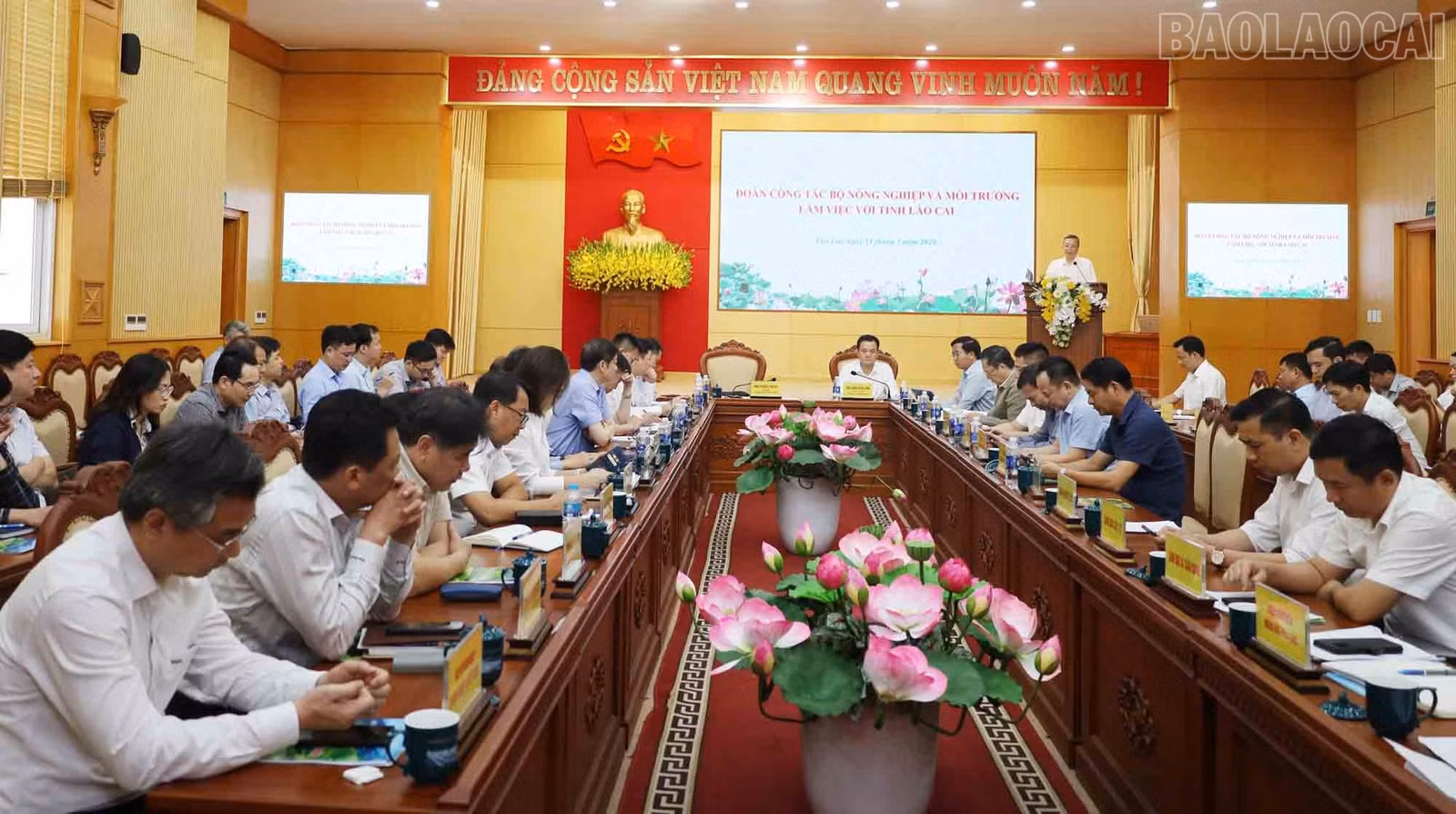 baolaocai-tr_a3.jpg