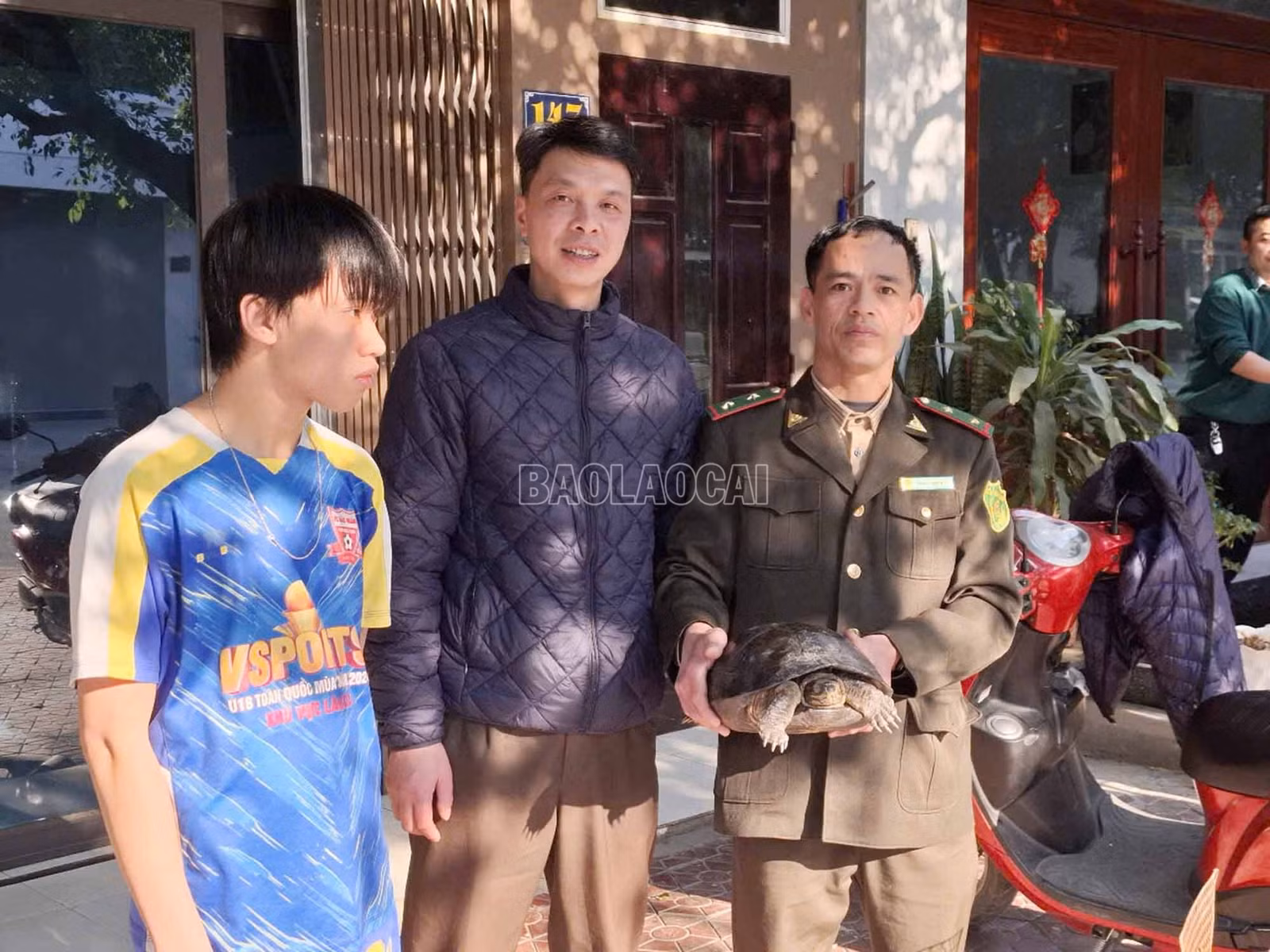 baolaocai-c_4.jpg