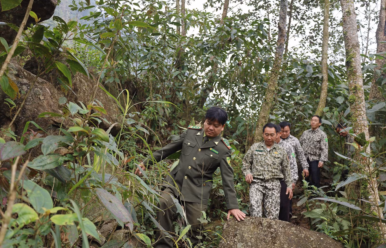 baolaocai-tr_img-7944.jpg