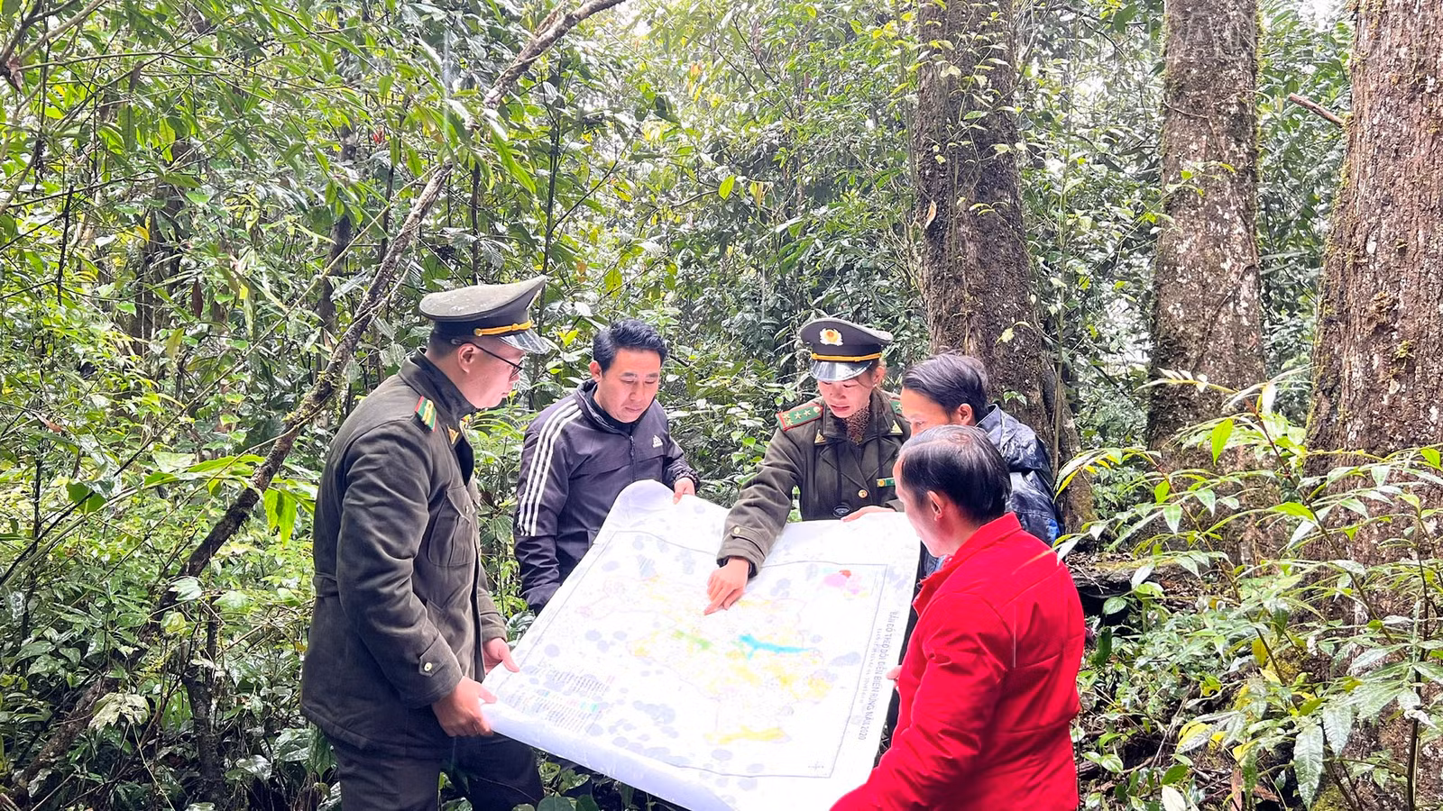 baolaocai-tr_z6268337299579-ad0a7a79e2894c1357a277180bb47b7a.jpg