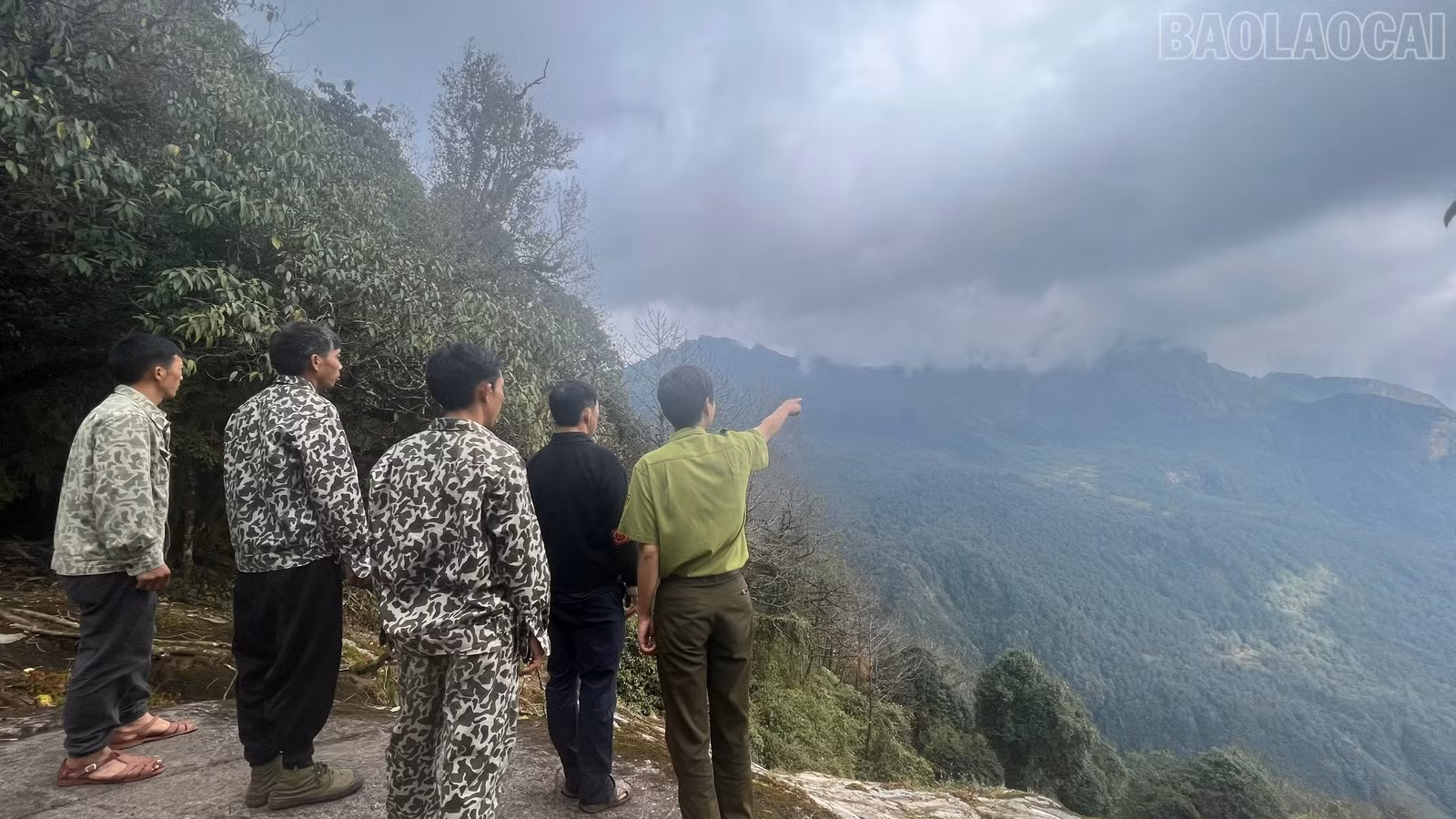 baolaocai-tr_z6268334308346-fb56b68fc5b4cc9eecf8482219e384e5.jpg