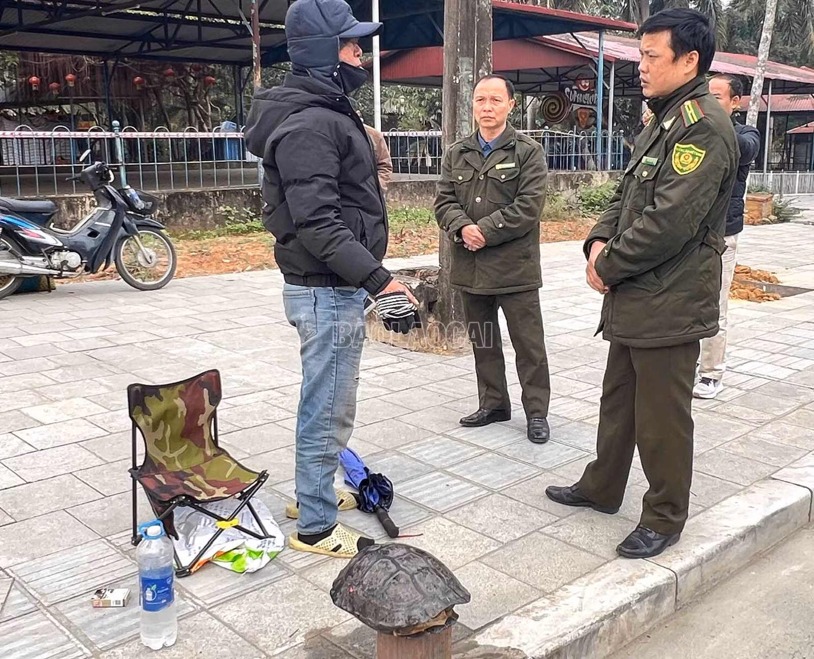 baolaocai-c_6.jpg
