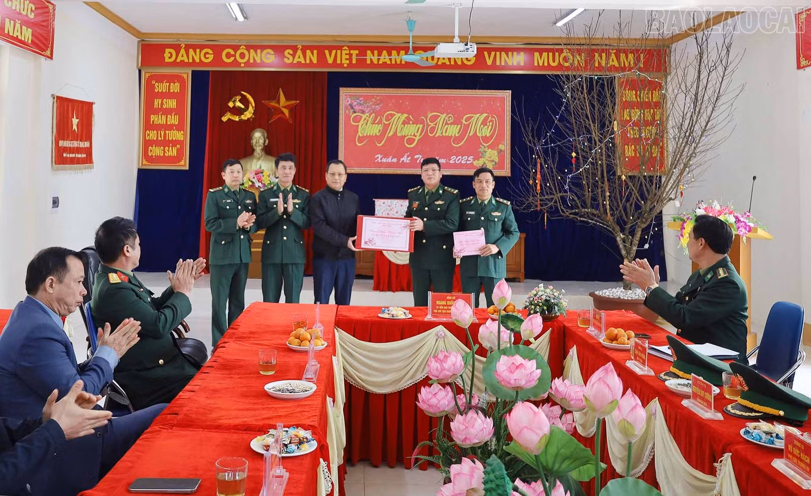 baolaocai-tr_pl1.jpg