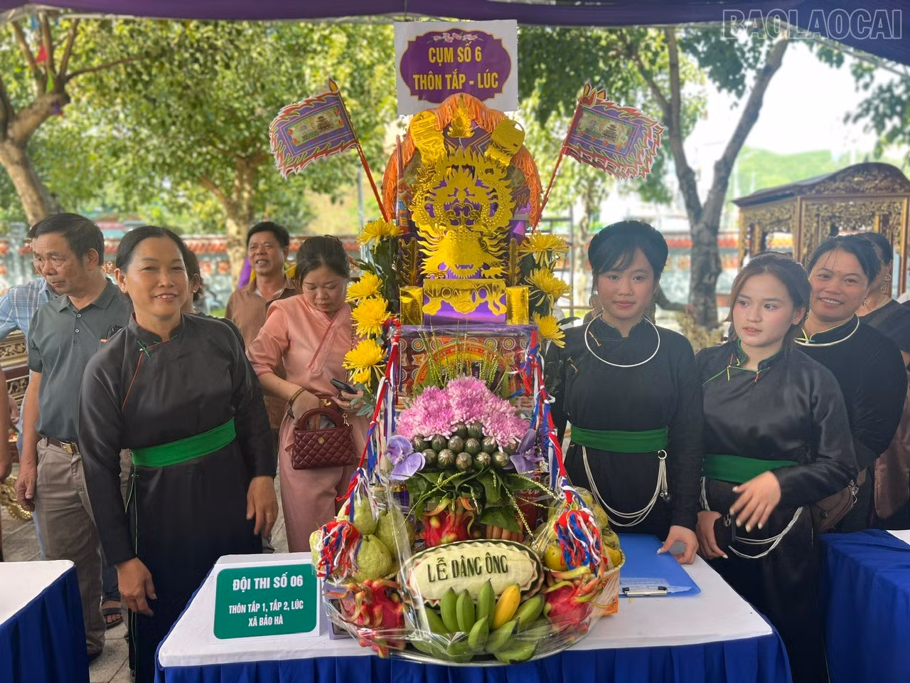 baolaocai-tr_8.jpg