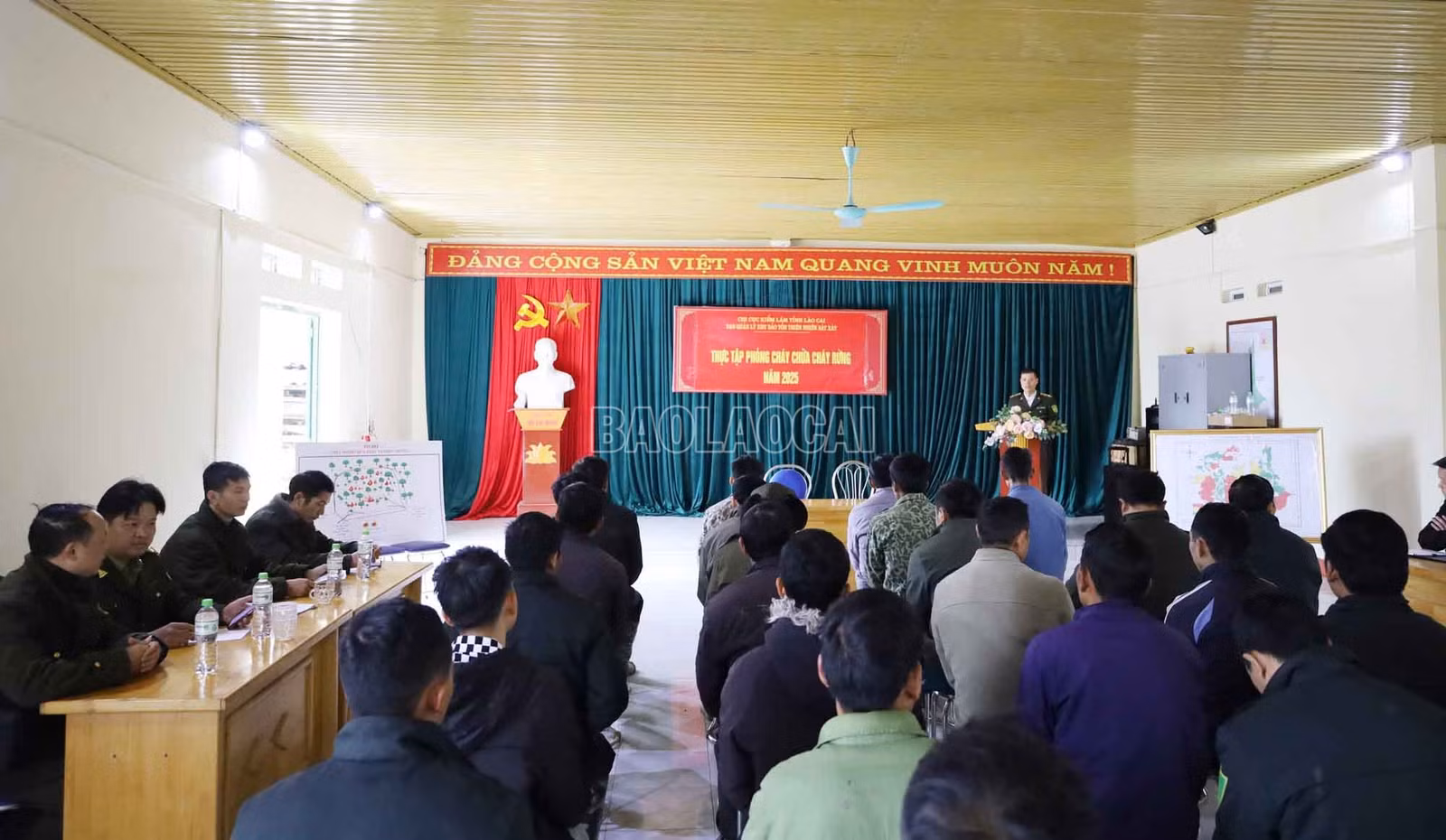 baolaocai-c_2.jpg