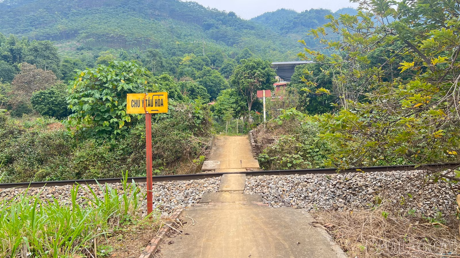 baolaocai-br_z7356906827585-89a3cdfa0384086475a57a90d932d20c.jpg
