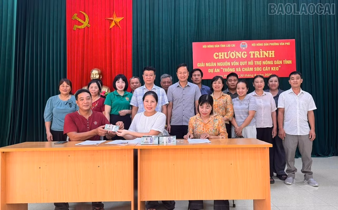 baolaocai-tr_4.jpg