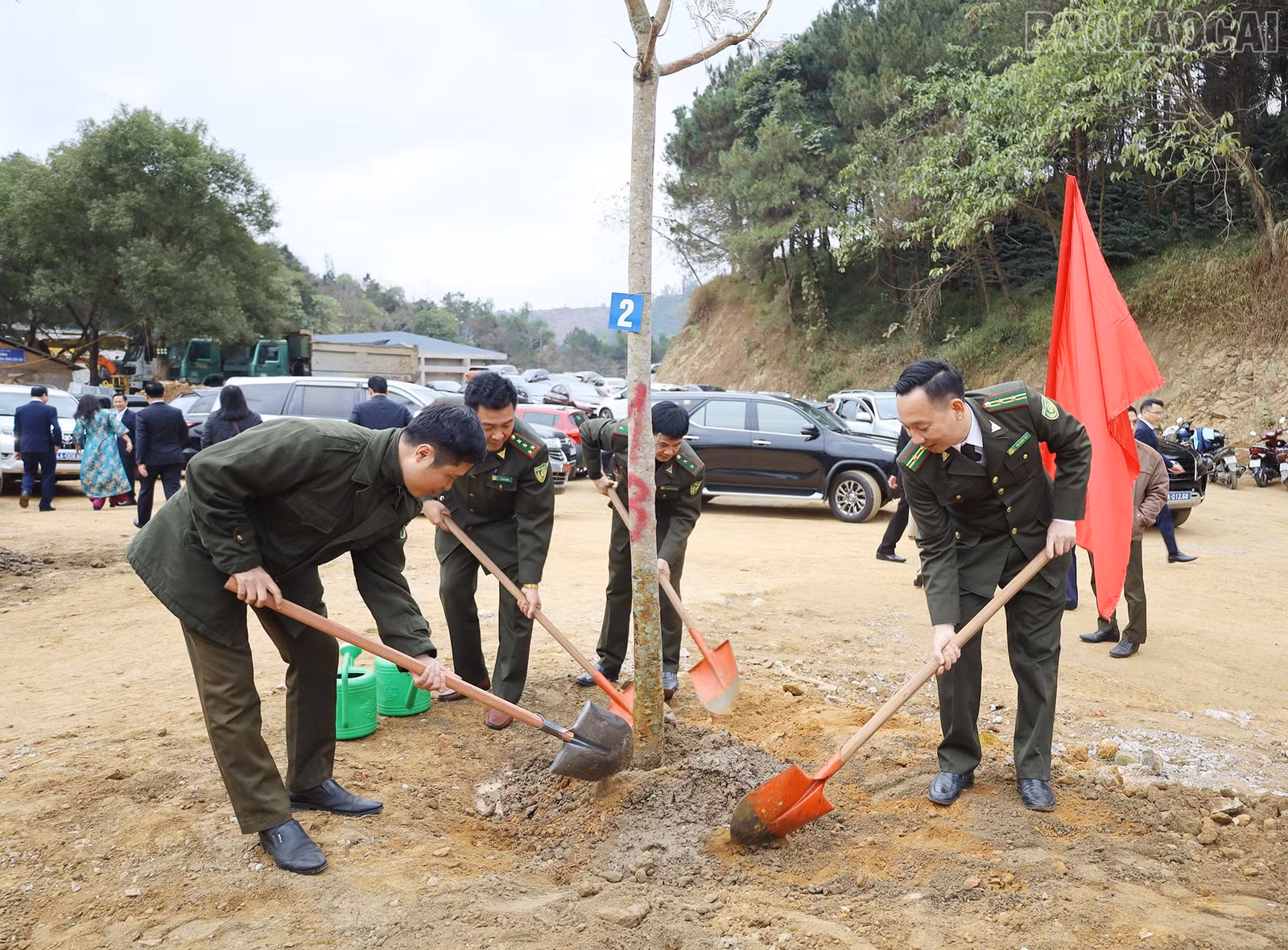 baolaocai-tr_8.jpg