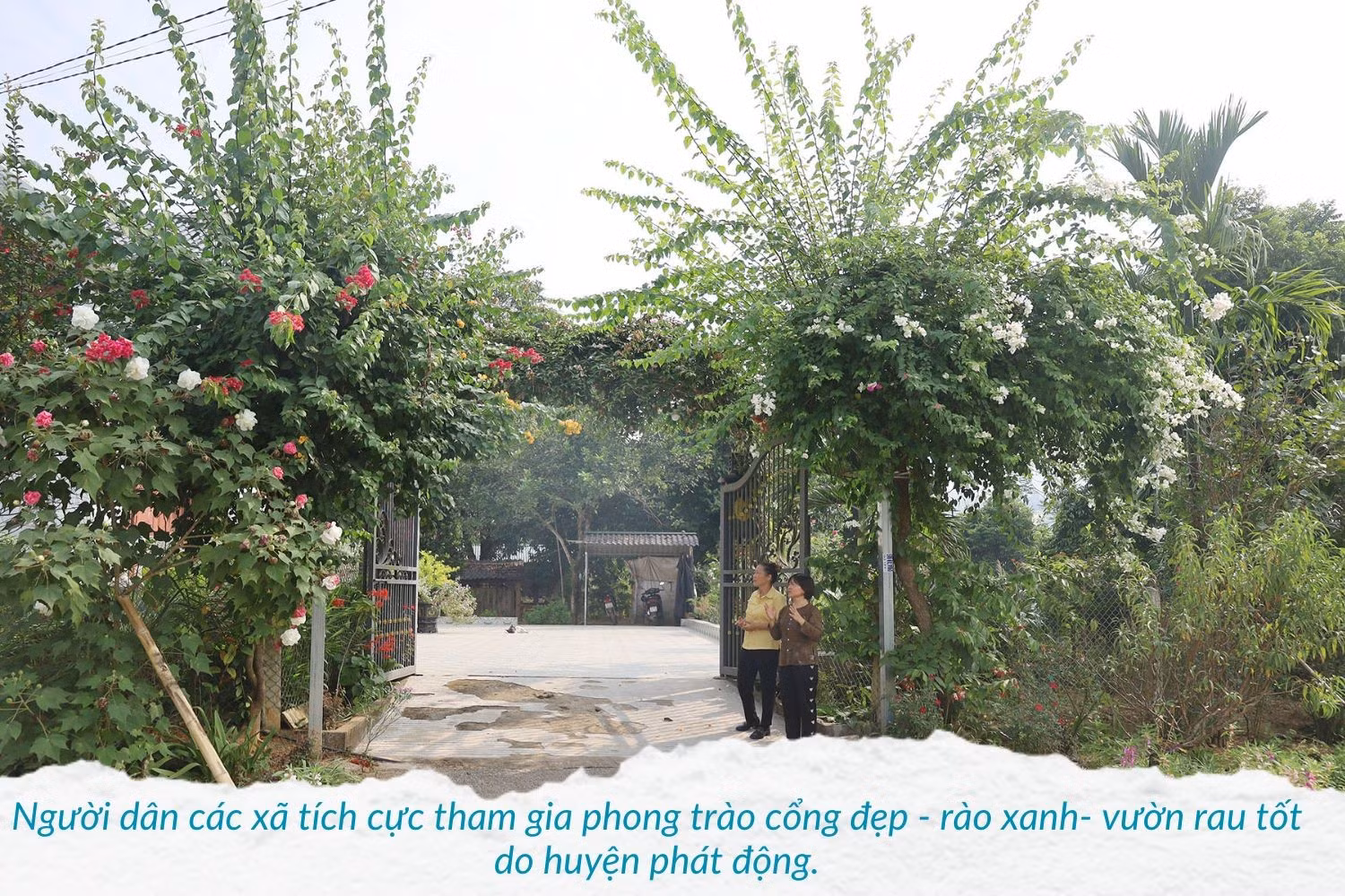 hieu-qua-tu-mo-hinh-nuoi-lon-ban-dia-an-toan-sinh-hoc-1.jpg