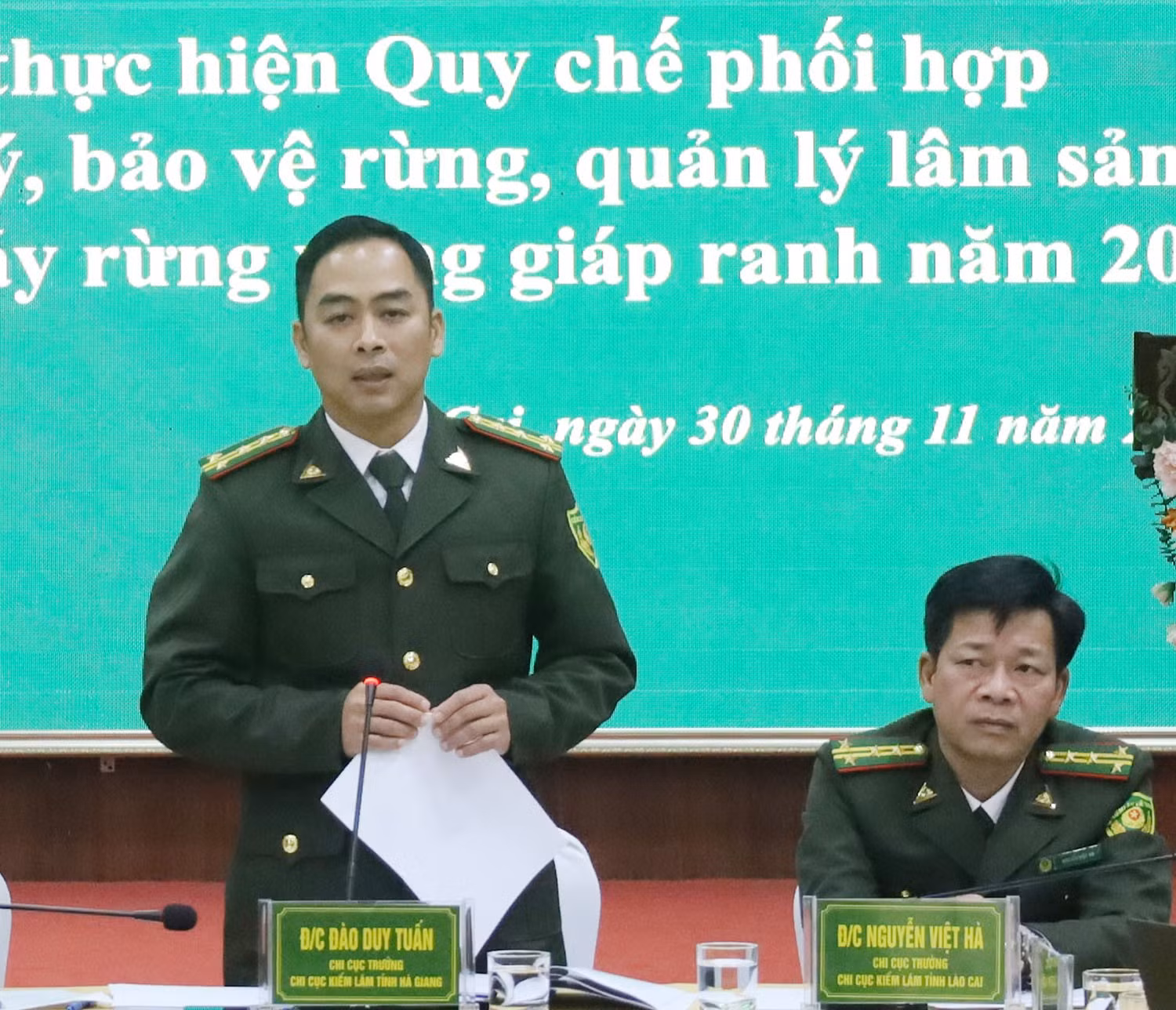 a1.jpg