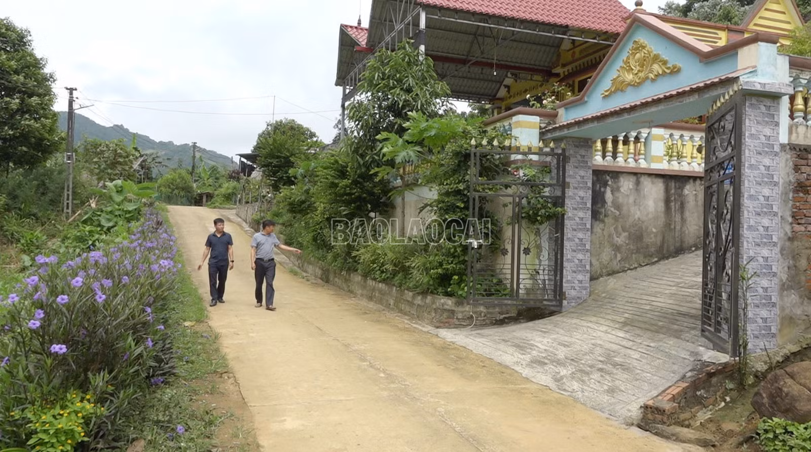 baolaocai-c_thuong-ha-1.jpg
