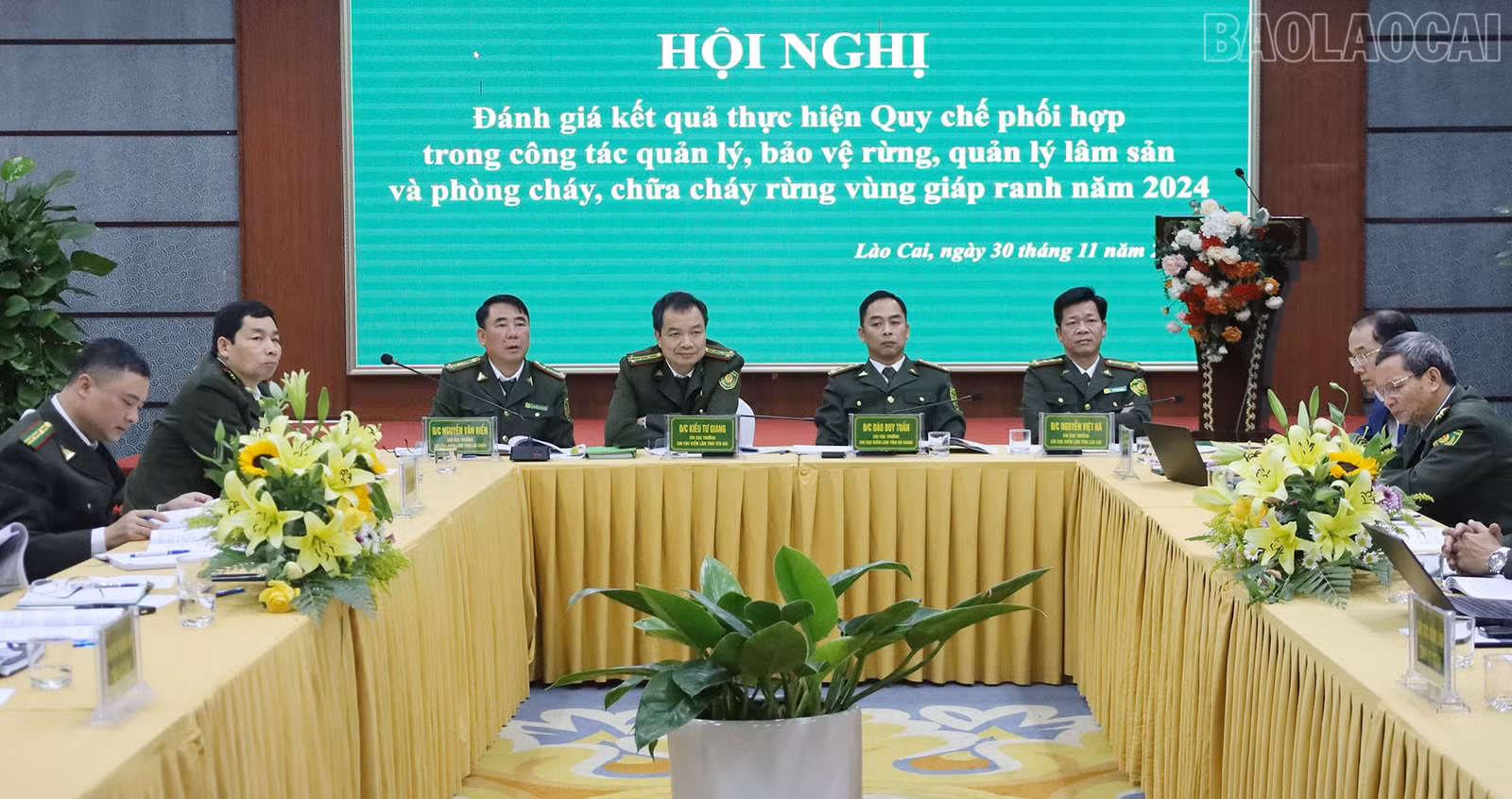 baolaocai-tr_5.jpg