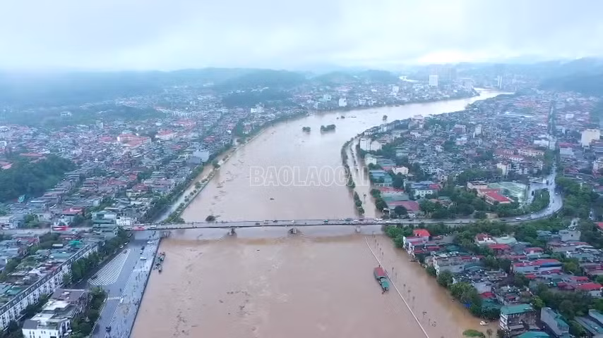 avatar-of-video-810304.png