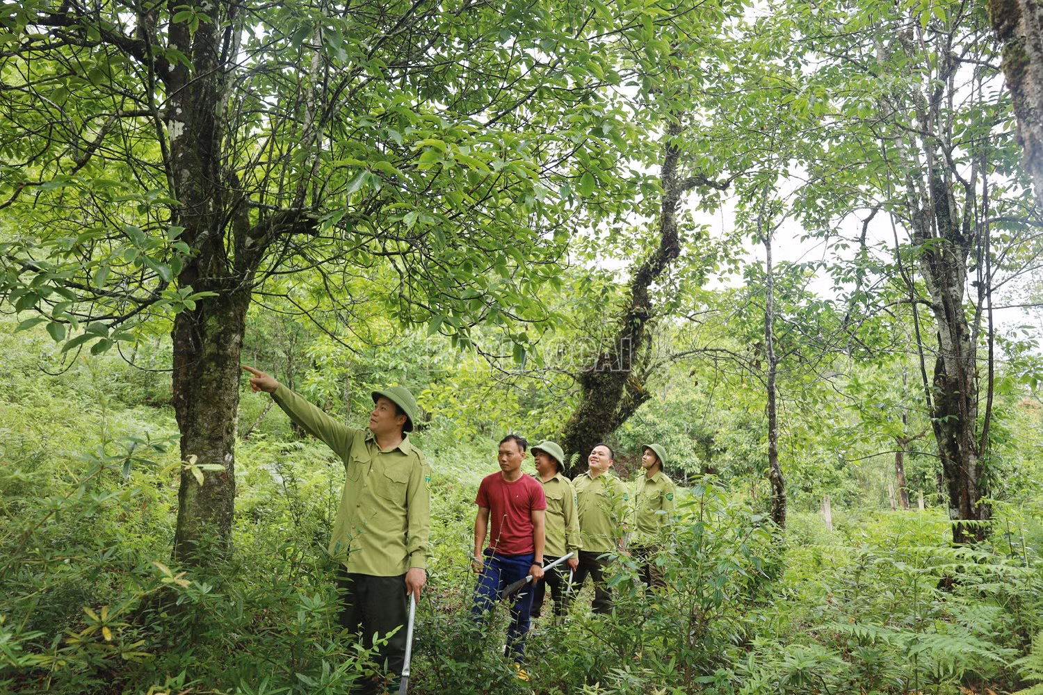 baolaocai-c_can-bo-khu-bttn-bat-xat-phoi-hop-voi-nguoi-dan-dia-phuong-tuan-tra-rung.jpg