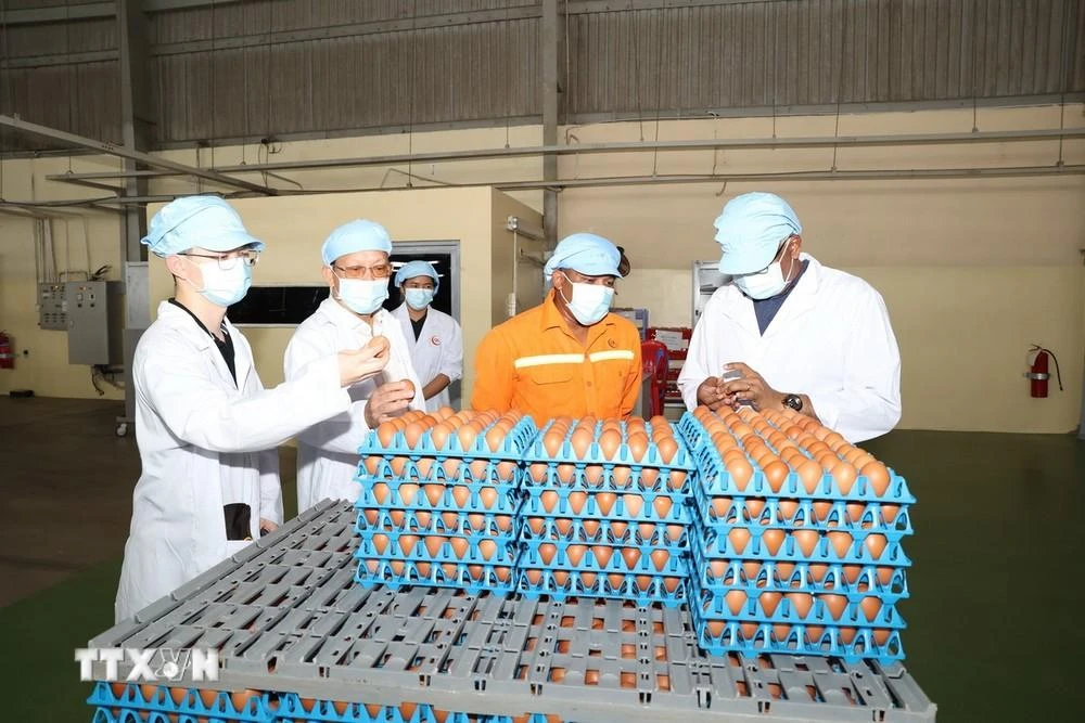 Đoàn công tác của Cơ quan Quản lý Thực phẩm Singapore (SFA) và Thương vụ Việt Nam tại Singapore, cùng các sở, ngành của tỉnh Tây Ninh tham quan quy trình sản xuất trứng gà của Công ty TNHH QL VietNam Agroresources tại ấp Thanh Xuân, xã Mỏ Công, huyện Tân Biên.