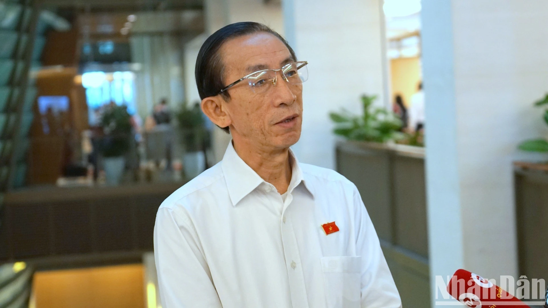 Đại biểu Quốc hội Thành phố Hồ Chí Minh, ông Trần Hoàng Ngân.