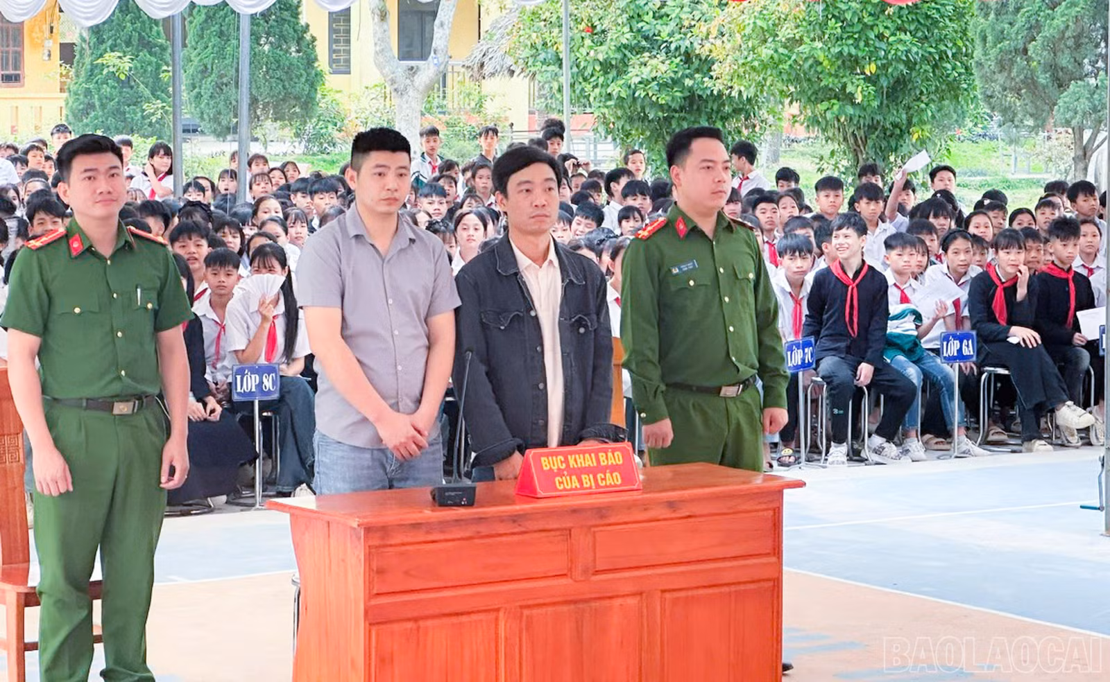 baolaocai-br_phong-du-thuong-4.jpg