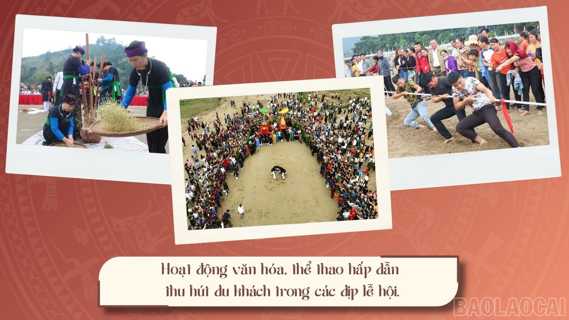 baolaocai-br_3.jpg