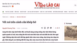 Nơi nuôi dưỡng cảm xúc tuổi mộng mơ