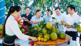 Sôi nổi không gian “Hoa trái bốn mùa - Trải nghiệm và kết nối” tại Công viên Mường Lò