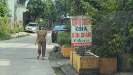 Thùng xốp, lõi tủ lạnh xếp kín hành lang để trồng rau