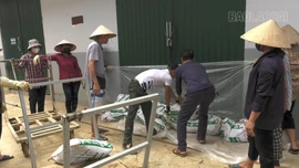 Lào Cai chuẩn bị ứng phó với bão số 11 (Matmo)